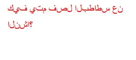 كيف يتم فصل البطاطس عن النشا؟